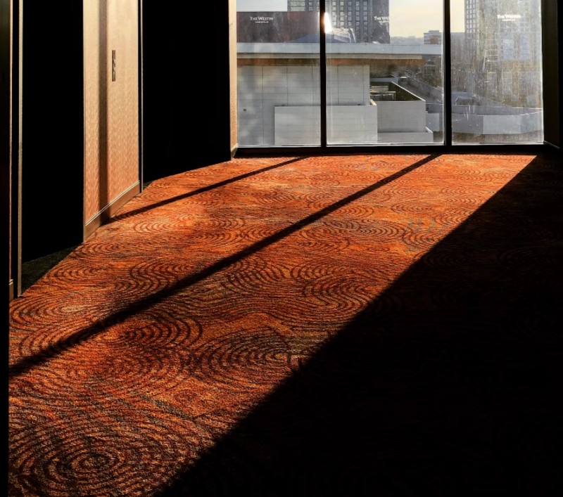 Sunlight casts long shadows on patterned orange carpet near large windows
